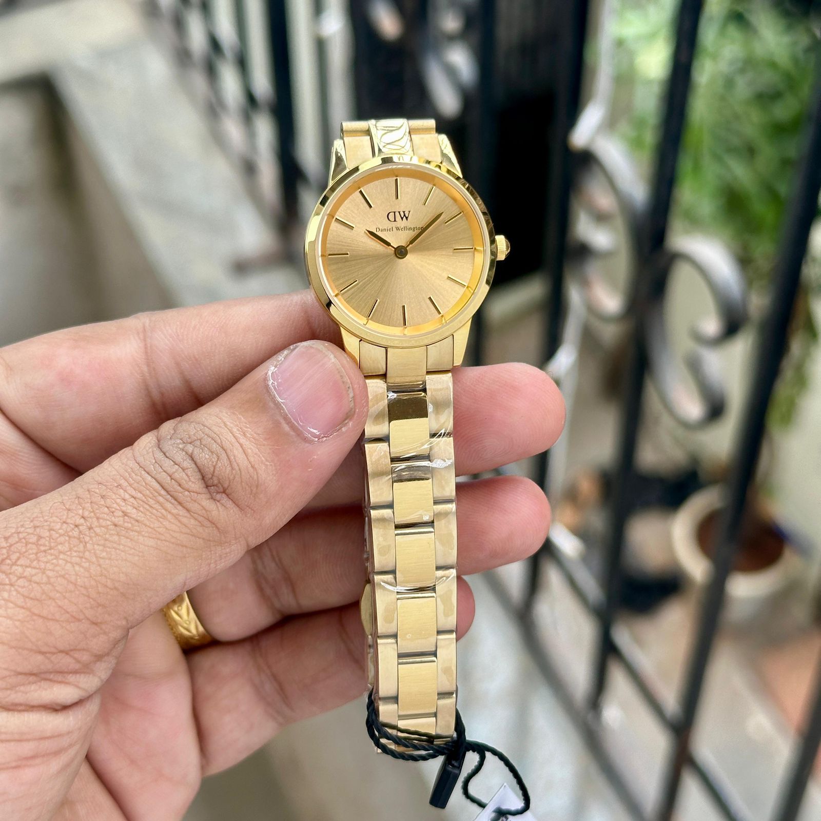 Daniel Wellington Link